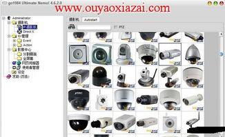 国产分类视频,多元题材，精彩纷呈